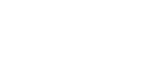 فرشاة مرحاض